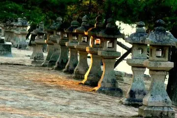 <p>A row of stone lanterns catch the sun's last rays</p>