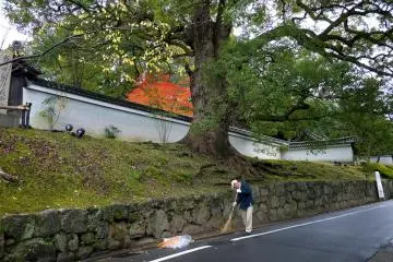 <p>A man sweeping leaves into a pile</p>