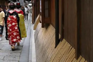 두 마이코-산 (실제 또는 그렇지 않으면) 거리를 따라 산책