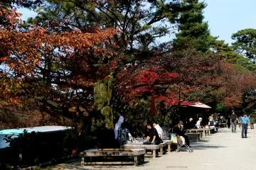 <p>Des touristes se reposent sur un banc dans l'all&eacute;e</p>