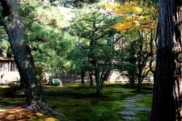 <p>Path of stepping stones through the moss under the trees</p>