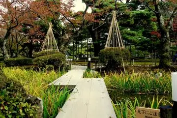 <p>Simple wooden plank bridge with eye-pleasing asymetry</p>