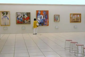 <p>Taking a closer look at Picasso</p>