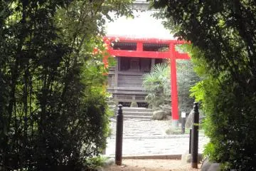 Gallery image