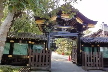 Gallery image