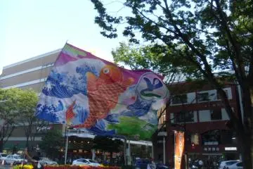 <p>Many groups have an enormous flag or two, waving gracefully at the back thanks to the effort of one of its members</p>