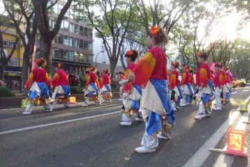 <p>A quick costume-change later, and they're showing their autumn colors</p>