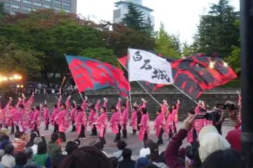 <p>In Kotodai-koen, group after group displayed their dances</p>