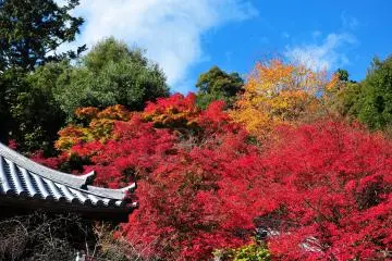 <p>Scenic view drawn with original colors</p>