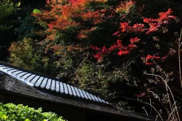 <p>Misono-tei Tea House</p>