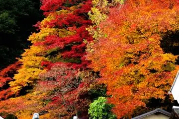 <p>Picturesque scenery with brilliant colors</p>