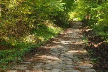<p>Old Paved Walking Pass</p>