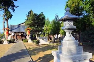 <p>Long shadow of tall trees on the temple grounds under the late afternoon sun</p>