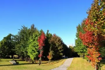 <p>Walking path leading to a street outside the library, from which you can enter the garden without checking in at the library counter</p>