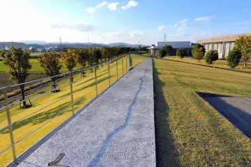 <p>Wow! I felt like I could walk to the edge of the horizon!</p>