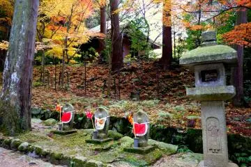 <p>Sometimes there are glimpses of buildings through the trees</p>