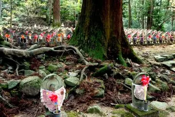 <p>Moss grows on the tree trunks and tangled roots crowd close to the statues</p>