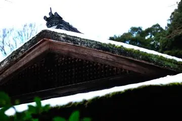 <p>Beautiful layers of moss and snow on a thatched roof</p>
