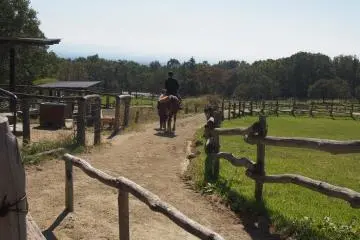 <p>Its a short ride around the track, but great fun if you've never been on a horse before!</p>