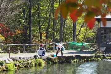 <p>There is an opportunity to rent a fishing pole and catch yourself some lunch&nbsp;</p>