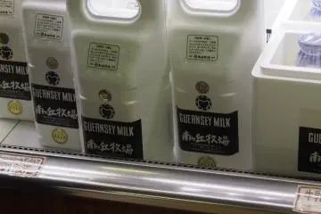 <p>And very sumptuous&nbsp;Guernsey milk from the cows at the dairy</p>
