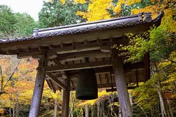 <p>Bell tower with yellow foliage</p>