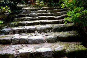 <p>Stone steps</p>