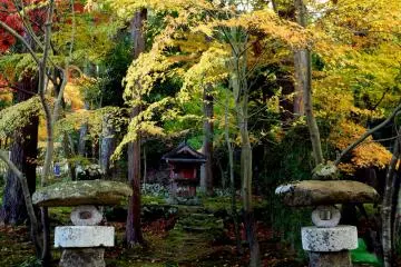 <p>A small shrine with two stone lanterns at the bottom of the slope</p>