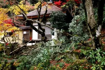 <p>Glimpse of the teahouse through the trees</p>