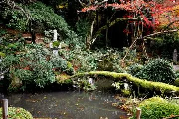 <p>Small moss covered stone bridge over the pond</p>