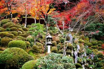<p>A dry 'waterfall' of rocks among the humps of trimmed azalea bushes</p>