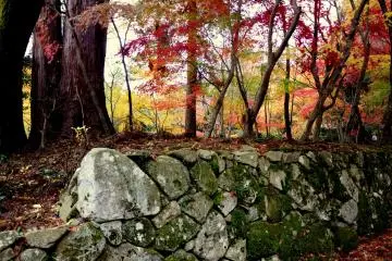 Wonderful color combinations