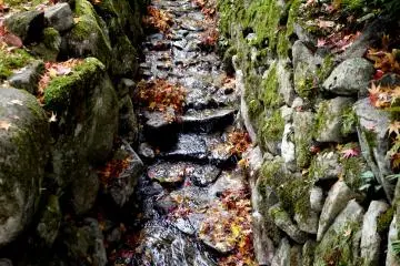 Water runs in a small channel beside the path, making a pleasant sound