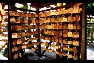 Miracle cures, love wishes (Photo: khuma)