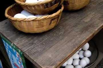 Eggs, eggs, eggs