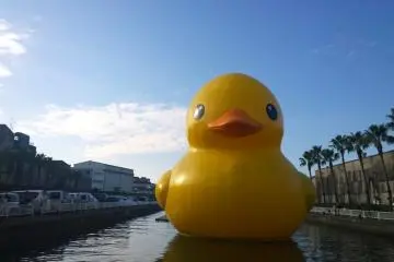 <p>RUBBER DUCK เจ้าเป็ดยางยักษ์ผู้รักมิตรภาพตัวนี้เป็นโปรเจ็คประติมากรรมศิลปะที่จัดขึ้นครั้งแรกในปี 2007 ณ กรุง Amsterdam, Netherlands หลังจากที่โด่งดังและถูกเชิญไปลอย ณ หลายๆ ประเทศ โดยมันเคยมาเยือนโอซาก้าอย่างเป็นทางการแล้วครั้งหนึ่งในปี ค.ศ.2009&nbsp;</p>
