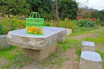<p>Enjoy your personal&nbsp;harvest&nbsp;at this small picnic table, nestled within the grounds of the mikan orchard entrance.</p>