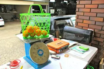 <p>At 390yen/1kg, take some mikans home with you today!</p>