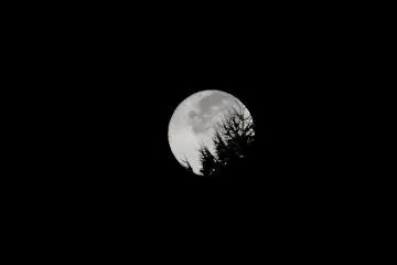 <p>I arrived at the parking lot in front of the vacation village of Norikura Highlands before dawn, at 4 A.M.</p>