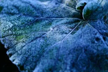 <p>The temperature at dawn was -1℃ and my breath was white</p>
