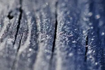 <p>Fallen leaves and plants were twinkling like crystals</p>