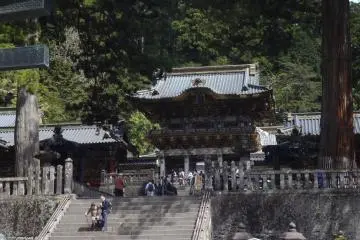 <p>Perspective</p>