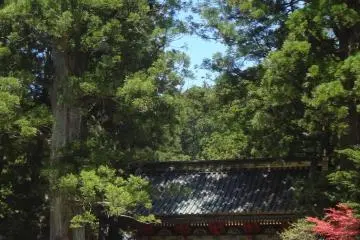 <p>Front side of Omote-mon</p>