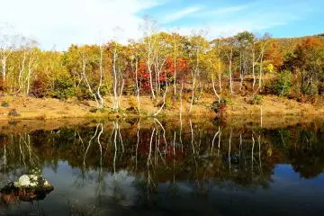 <p>I waited for the surface of the water to stop rippling at 'Maime Pond' inside Ichino-se Green Park</p>