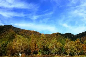 <p>High sky in autumn with the wind creating these streaks of clouds...it's a piece of art!</p>
