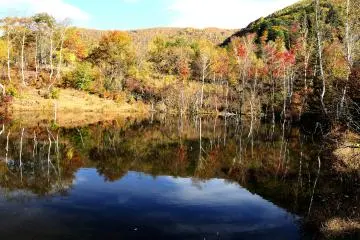 <p>I waited for an eternity, but the mischievous breeze didn't allow me to take photos of perfectly still trees reflected on the water surface</p>