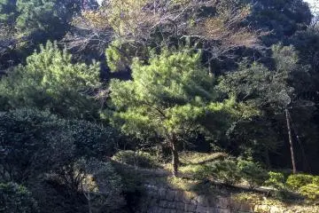 <p>주차장에서 찍은 사진. 만약 차로 이동한다면 짧은 산책로를 걷게 된다. 사진에서 볼 수 있듯이, 아릅답고 경치를 즐기기 좋은 곳이다. 필자가 방문했을 땐 아무도 없어서 조용히 감상할 수 있어 좋았다. 계절이 변해 나무들이 모습을 바꿀 때 다시 방문하고 싶은 곳이다.</p>