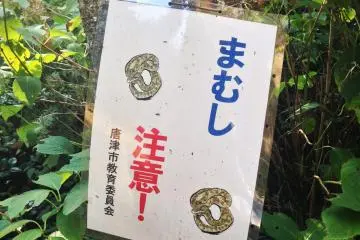 <p>독사를 조심하라는 경고 문구. 필자가 방문했을 땐 한마리도 보지 못했으나, 명심해두는 것이 좋을 듯 하다. 늘 가는 곳의 환경을 주의할 것.</p>