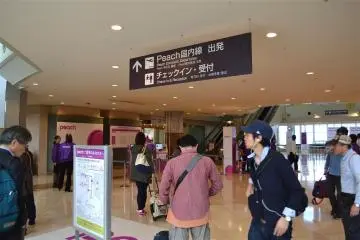 Purple-clad staff are stationed near the self-check-in kiosks to help confused passengers
