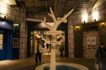 Gallery image